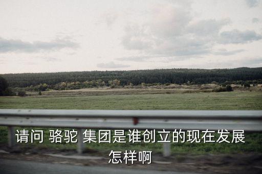 請問 駱駝 集團是誰創(chuàng)立的現在發(fā)展怎樣啊