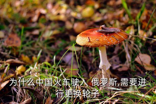 中國高鐵有望開進俄羅斯,俄羅斯不用中國高鐵