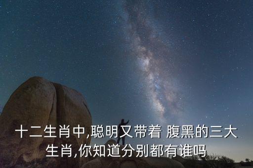 十二生肖中,聰明又帶著 腹黑的三大生肖,你知道分別都有誰(shuí)嗎