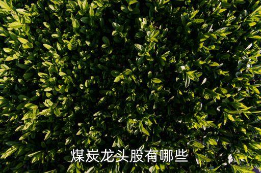 煤炭龍頭股有哪些