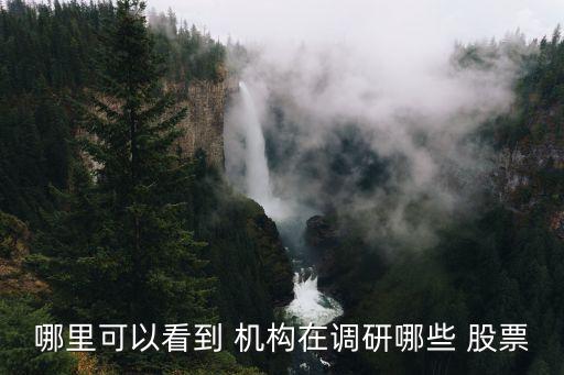 如何看機構買了什么股票