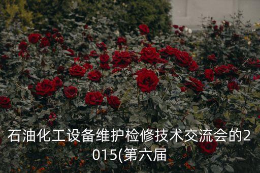 石油化工設(shè)備維護檢修技術(shù)交流會的2015(第六屆