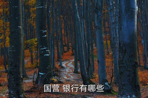 國(guó)營(yíng) 銀行有哪些