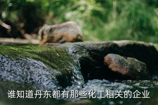 誰知道丹東都有那些化工相關的企業(yè)