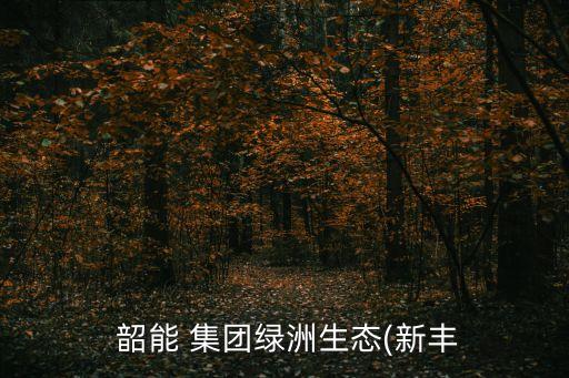 廣東韶能集團清遠發(fā)電廠,韶能集團新豐生物質(zhì)發(fā)電廠