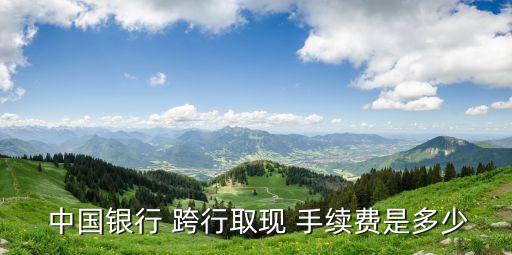  中國銀行 跨行取現 手續(xù)費是多少