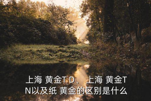  上海 黃金T D、 上海 黃金T N以及紙 黃金的區(qū)別是什么