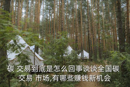 碳 交易到底是怎么回事談談全國碳 交易 市場,有哪些賺錢新機會