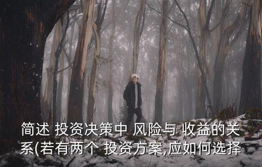簡述 投資決策中 風險與 收益的關系(若有兩個 投資方案,應如何選擇