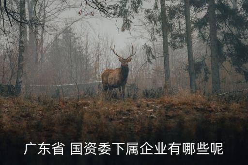 廣州國(guó)資控股有限公司,樂(lè)平市屬?lài)?guó)資控股有限公司