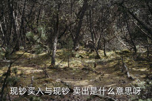 銀行向我買(mǎi)進(jìn)和我向銀行賣(mài)出