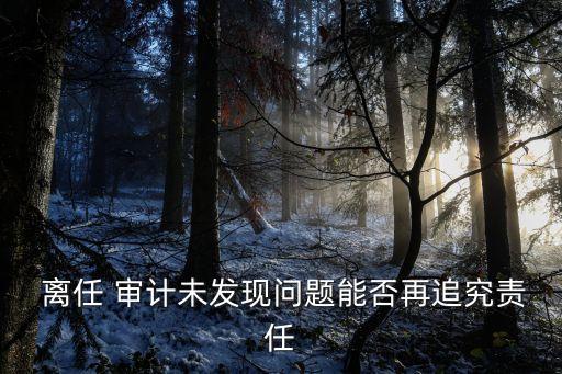  離任 審計(jì)未發(fā)現(xiàn)問題能否再追究責(zé)任