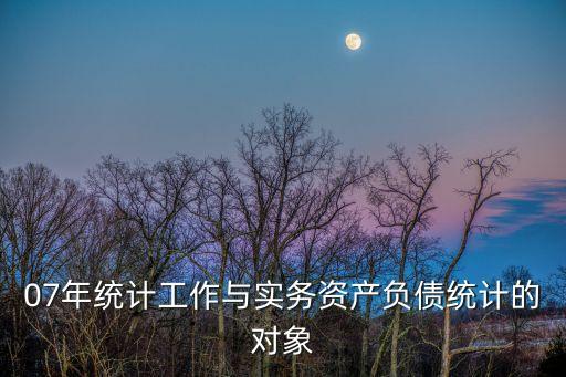 07年統(tǒng)計工作與實務資產負債統(tǒng)計的對象