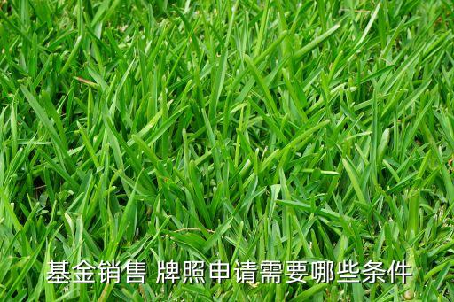  基金銷售 牌照申請(qǐng)需要哪些條件