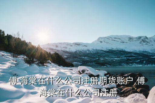 傅 海棠在什么公司注冊(cè)期貨賬戶(hù),傅 海棠在什么公司注冊(cè)