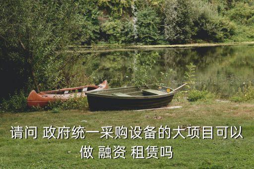 請(qǐng)問(wèn) 政府統(tǒng)一采購(gòu)設(shè)備的大項(xiàng)目可以做 融資 租賃嗎