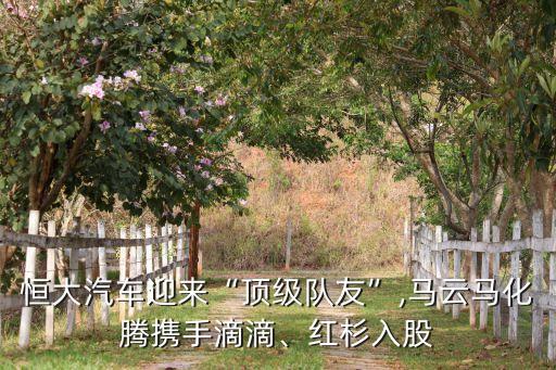 恒大汽車迎來“頂級(jí)隊(duì)友”,馬云馬化騰攜手滴滴、紅杉入股