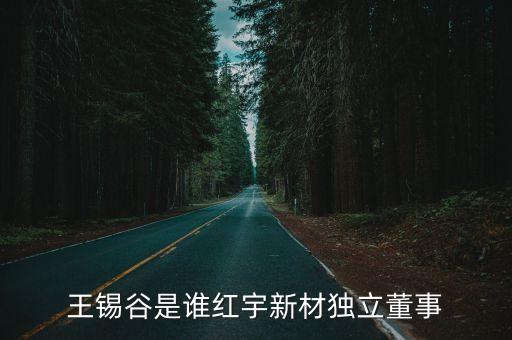 王錫谷是誰紅宇新材獨(dú)立董事