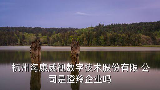  杭州海康威視數字技術股份有限 公司是瞪羚企業(yè)嗎
