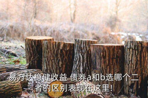 易達(dá)方投資級信用債券a