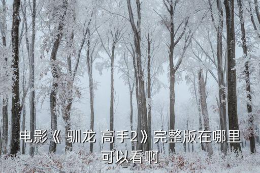 夢(mèng)工廠動(dòng)畫(huà)股票馴龍高手2大跌