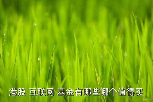 港股 互聯(lián)網(wǎng) 基金有哪些哪個(gè)值得買
