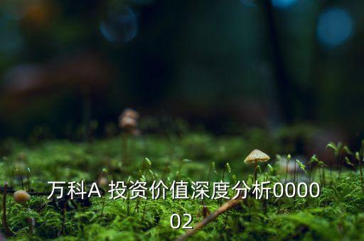  萬科A 投資價(jià)值深度分析000002