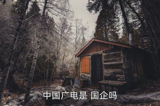 中國(guó)廣電是 國(guó)企嗎