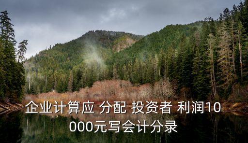 企業(yè)計(jì)算應(yīng) 分配 投資者 利潤(rùn)10000元寫會(huì)計(jì)分錄