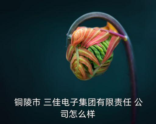  銅陵市 三佳電子集團有限責(zé)任 公司怎么樣