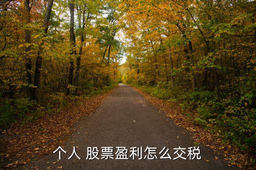 個(gè)人 股票盈利怎么交稅