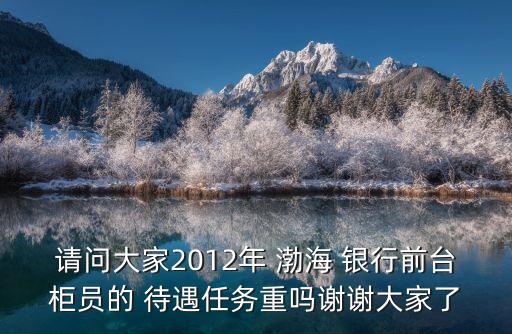 請(qǐng)問大家2012年 渤海 銀行前臺(tái)柜員的 待遇任務(wù)重嗎謝謝大家了