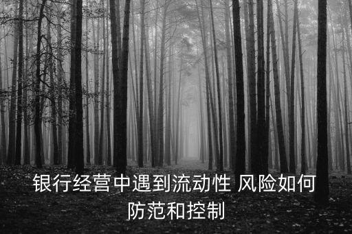 銀行資金業(yè)務(wù)的風險與防范,銀行信貸業(yè)務(wù)風險及防范對策