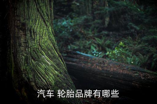 中國(guó)最大的輪胎廠,山東高密最大的輪胎廠
