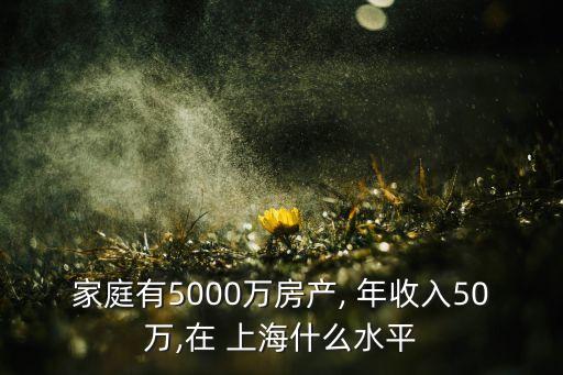 家庭有5000萬房產(chǎn), 年收入50萬,在 上海什么水平