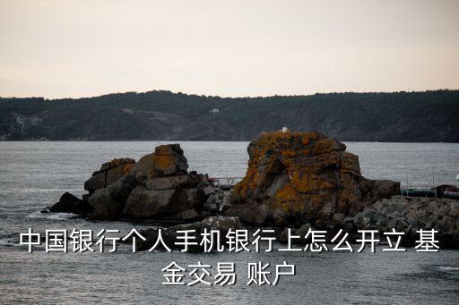 個人賬戶基金,城鎮(zhèn)職工基本醫(yī)療保險個人賬戶基金