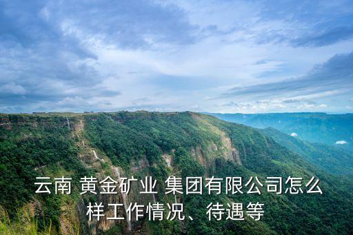  云南 黃金礦業(yè) 集團(tuán)有限公司怎么樣工作情況、待遇等