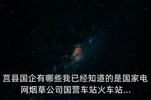 莒縣國企有哪些我已經知道的是國家電網煙草公司國營車站火車站...