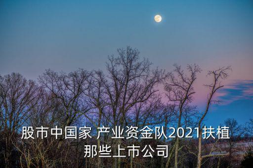 股市中國家 產(chǎn)業(yè)資金隊2021扶植那些上市公司