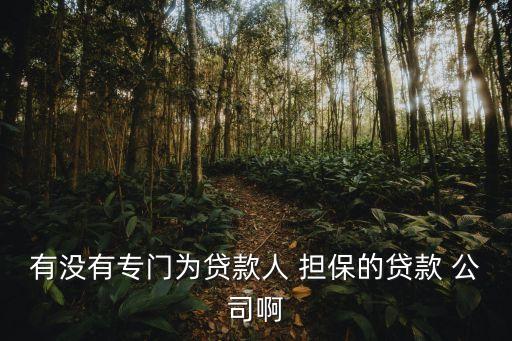 有沒(méi)有專門為貸款人 擔(dān)保的貸款 公司啊