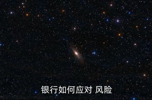  銀行如何應對 風險