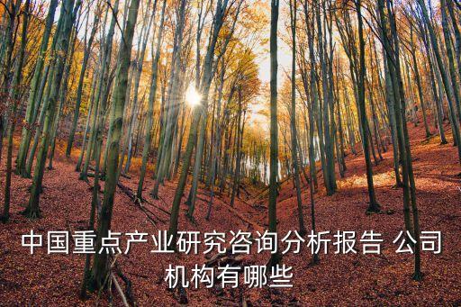 中國重點(diǎn)產(chǎn)業(yè)研究咨詢分析報(bào)告 公司機(jī)構(gòu)有哪些