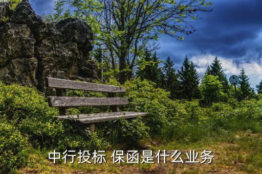 中行投標 保函是什么業(yè)務(wù)