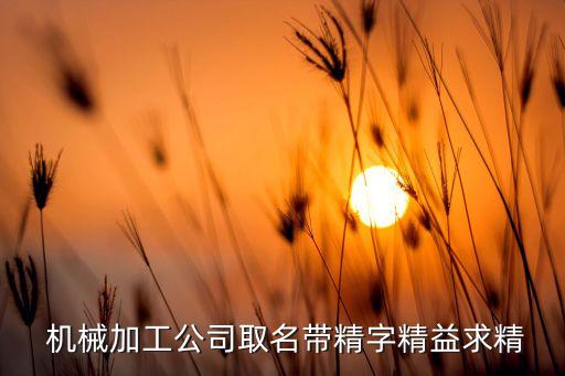 奇精機(jī)械股份有限公司董事長,寧?？h奇精機(jī)械股份有限公司