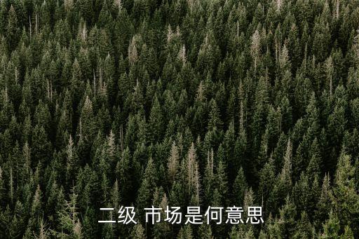 二級(jí)市場(chǎng)股票