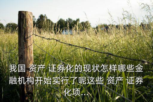 我國(guó) 資產(chǎn) 證券化的現(xiàn)狀怎樣哪些金融機(jī)構(gòu)開始實(shí)行了呢這些 資產(chǎn) 證券化項(xiàng)...