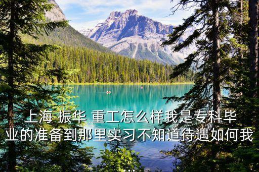  上海 振華 重工怎么樣我是?？飘厴I(yè)的準(zhǔn)備到那里實(shí)習(xí)不知道待遇如何我...