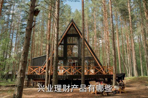 興業(yè)銀行萬利寶35天,百度興業(yè)銀行添利寶D