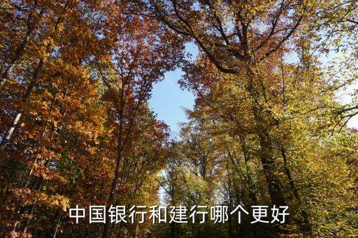 中國銀行和建行哪個(gè)更好