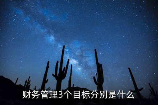 財(cái)務(wù)管理3個(gè)目標(biāo)分別是什么
